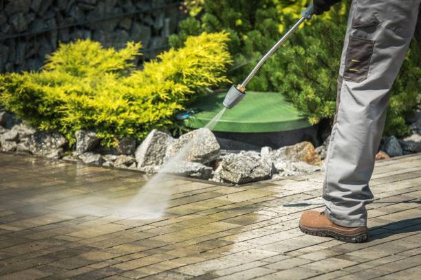 Best Animal Enclosure Cleaning  in Ripley, OH